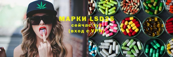 ECSTASY Вяземский